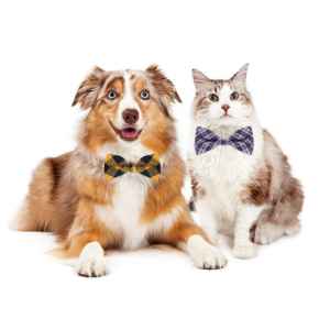 Picture for category Pet Supplies